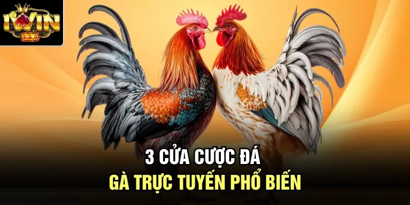 3 cửa cược đá gà trực tuyến phổ biến