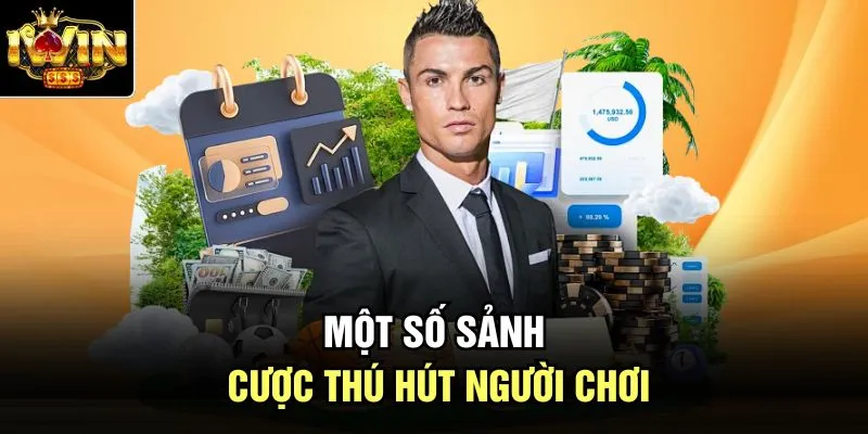 Một số sảnh cược thú hút người chơi